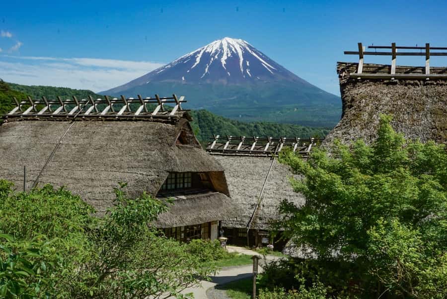 Tokyo: Mount Fuji Full Day Private Customized Tour - Final Verdict