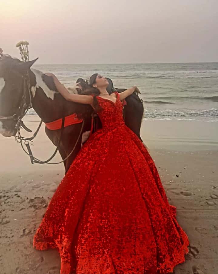 Cartagena: RIDE A HORSE with pick-up at the hotel and return - Key Points