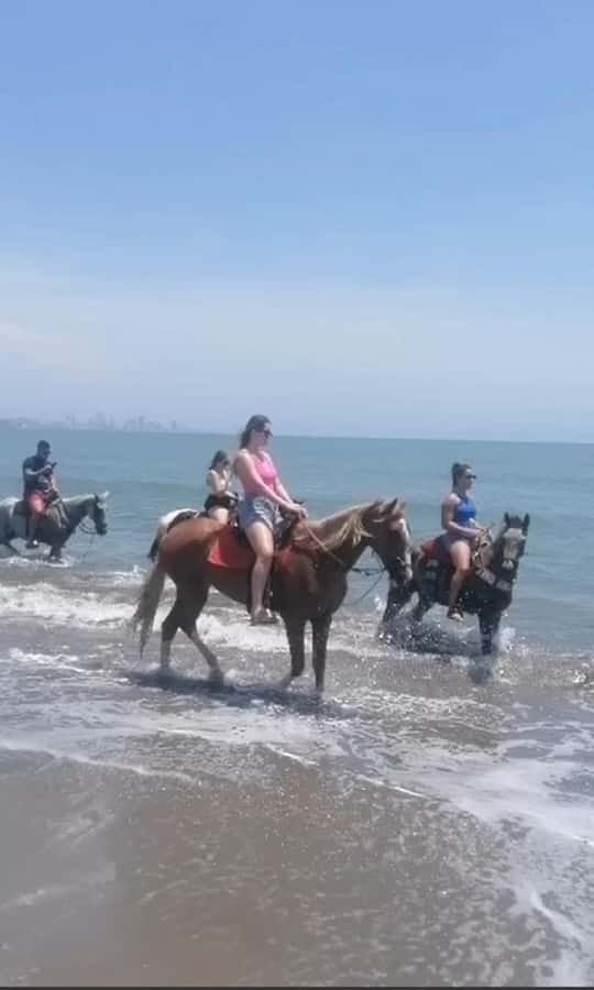 Cartagena: RIDE A HORSE with pick-up at the hotel and return - A Quick Look at the Cartagena Beach Horseback Ride