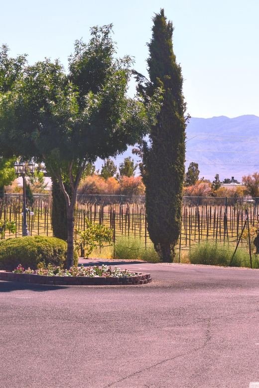 Las Vegas / Pahrump Wine Tasting Tour and snacks - Key Points