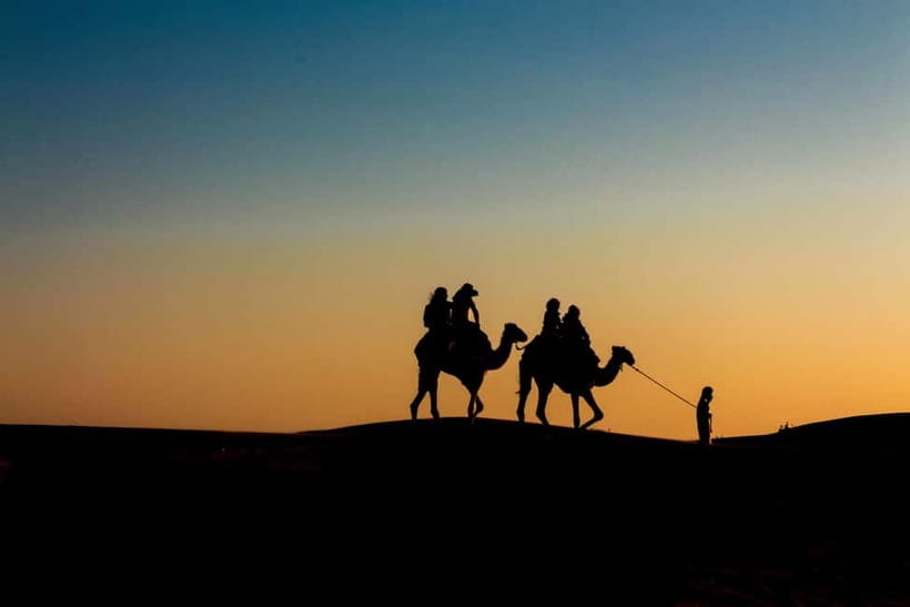 Pushkar: Camel Sunset Safari Adventure - The Itinerary and What You Can Expect