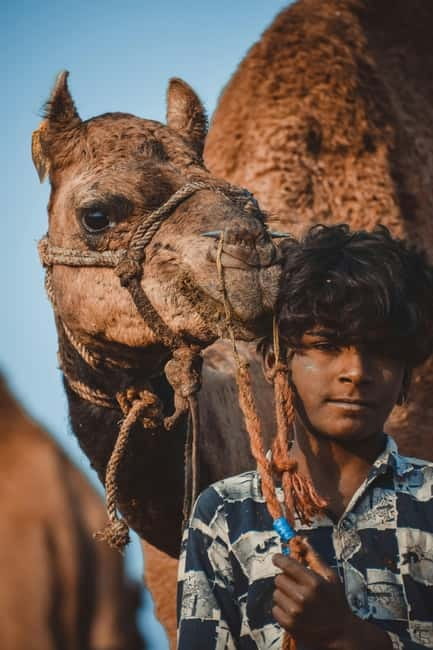 Pushkar: Camel Sunset Safari Adventure - Practical Tips for Your Camel Sunset Safari