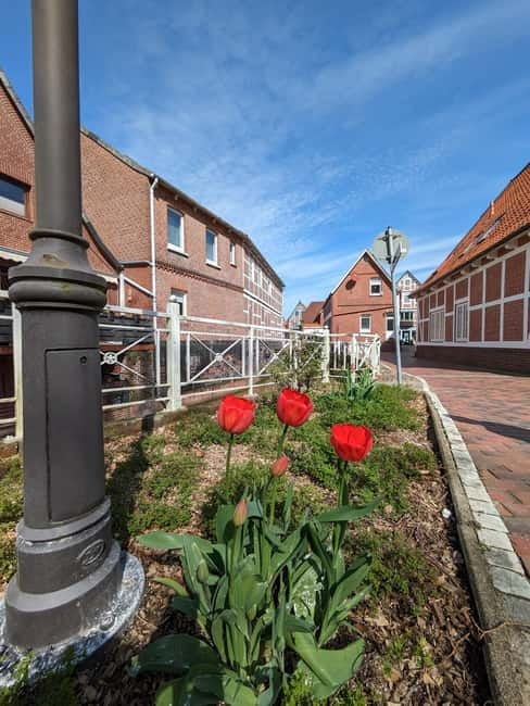 Hamburg Country Side - Altes Land - Pricing, Value, and Practical Tips