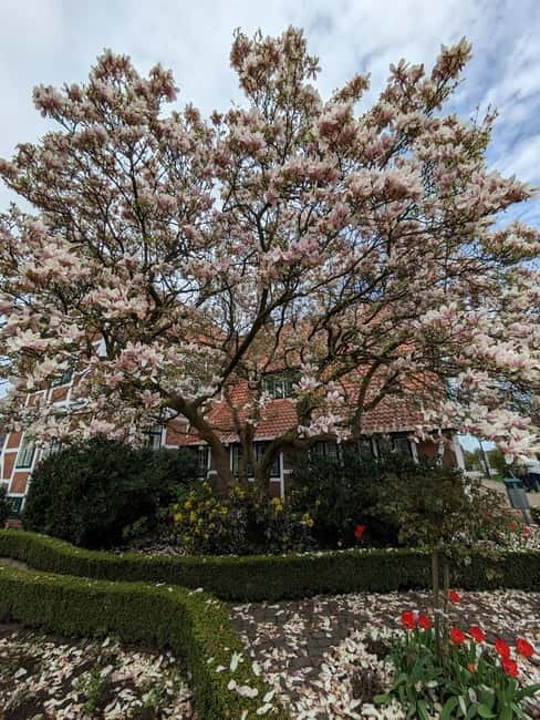 Hamburg Country Side - Altes Land - Key Points