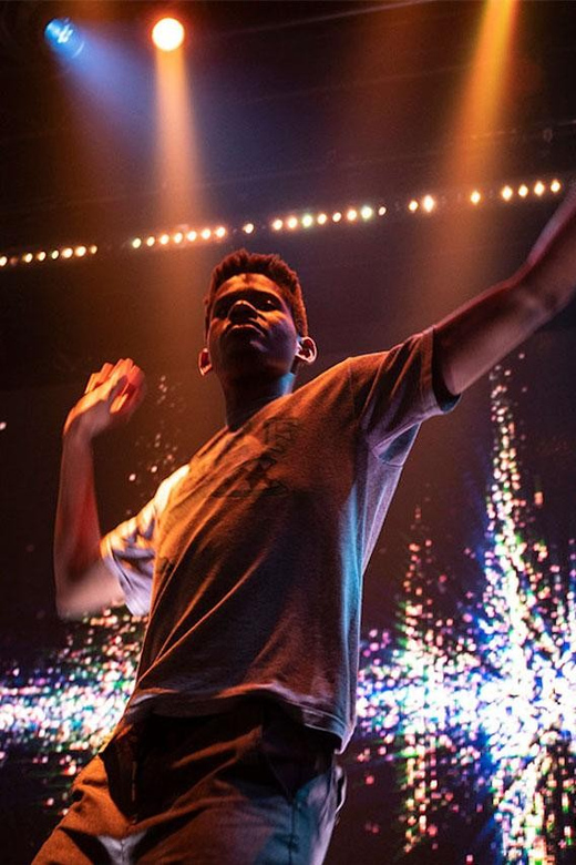 Las Vegas: DiscoShow at the LINQ Hotel - A Deep Dive into the DiscoExperience