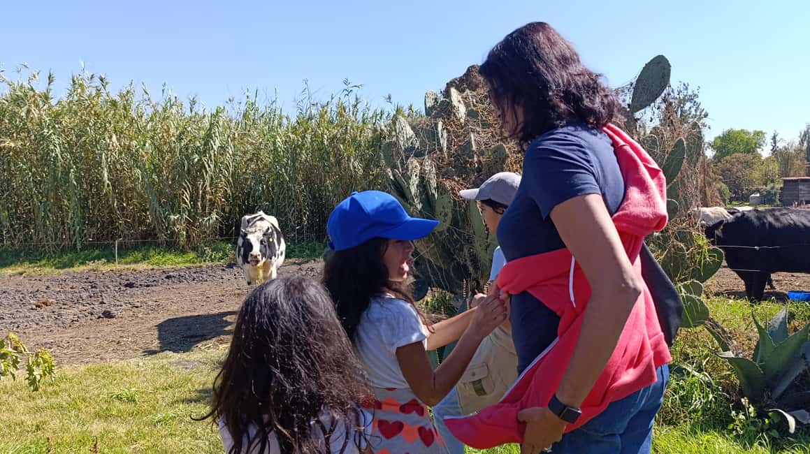 Xochimilco for kids and families - Xochimilco for Kids and Families: A Practical Guide to an Authentic Mexico City Experience