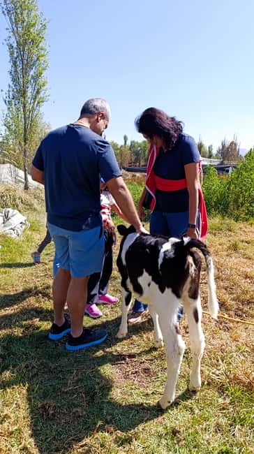 Xochimilco for kids and families - The Itinerary in Detail