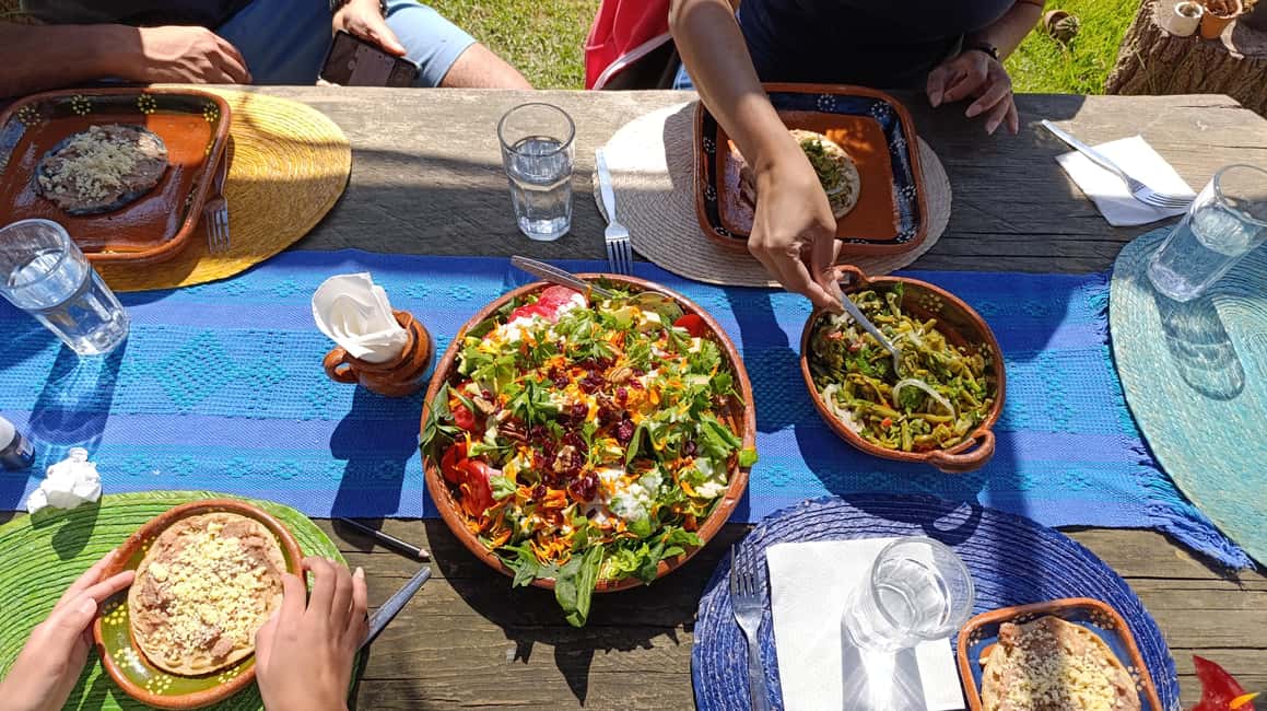 Xochimilco for kids and families - Who Would Benefit Most from This Tour?