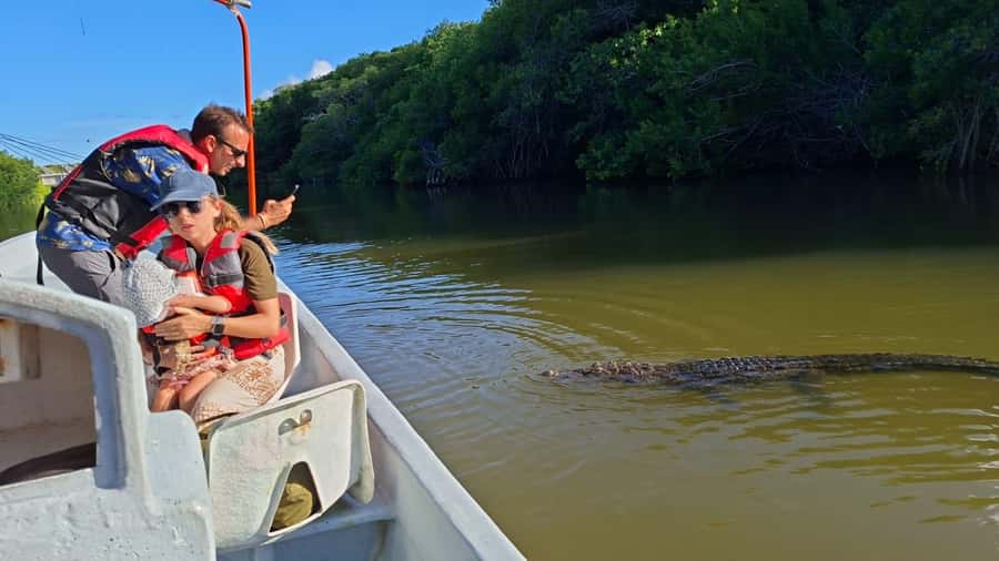 Río Lagartos & Las Coloradas Boat Tour: Flamingos, Mangroves - The Details That Make This Tour Special