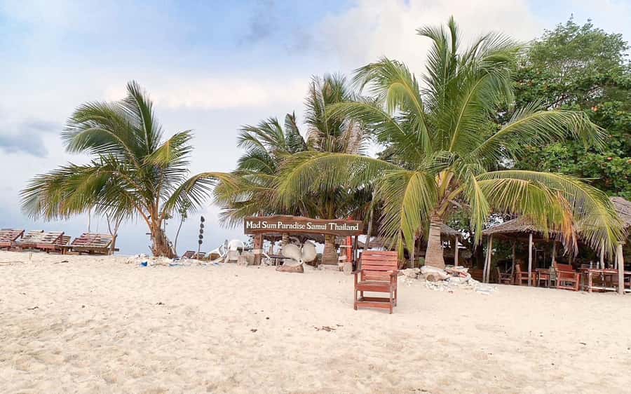 Koh Samui: Koh Tan and Koh Madsum Half-Day Tour by Catamaran - Final Thoughts