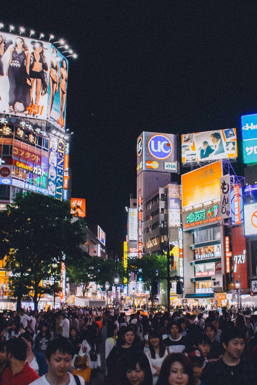 Tokyo: Full Day Private Tour by Luxury Vehicle - Practical Considerations and Cost Analysis