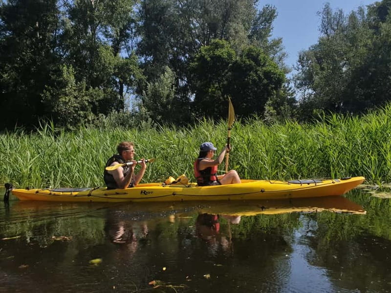 Belgrade: Great War Island Kayak Adventure - A Detailed Look at the Belgrade: Great War Island Kayak Adventure