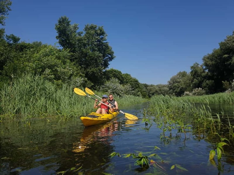 Belgrade: Great War Island Kayak Adventure - The Practical Side: What You Should Know
