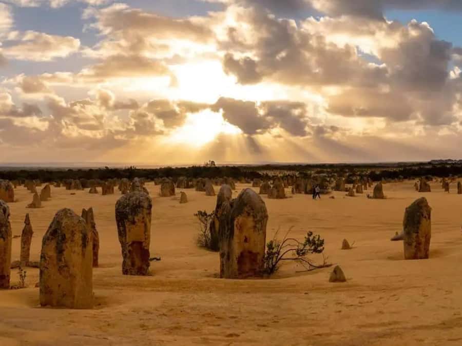 Perth: 7-Day Rottnest Island Tour Package with Accommodation - Good To Know