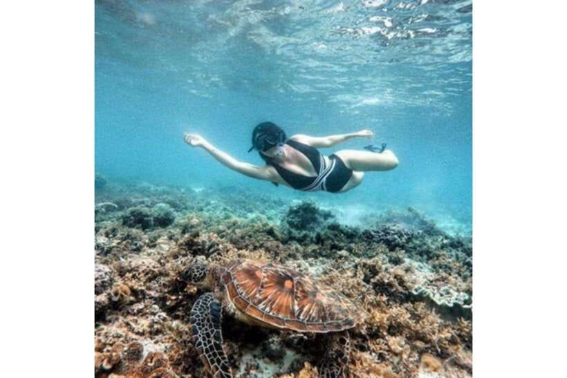 Moalboal : Scuba Diving Sardine Run and Turtle Chasing - FAQ