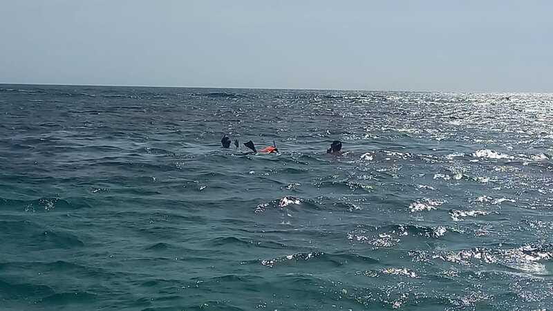 Snorkeling Express Puerto Morelos - FAQ