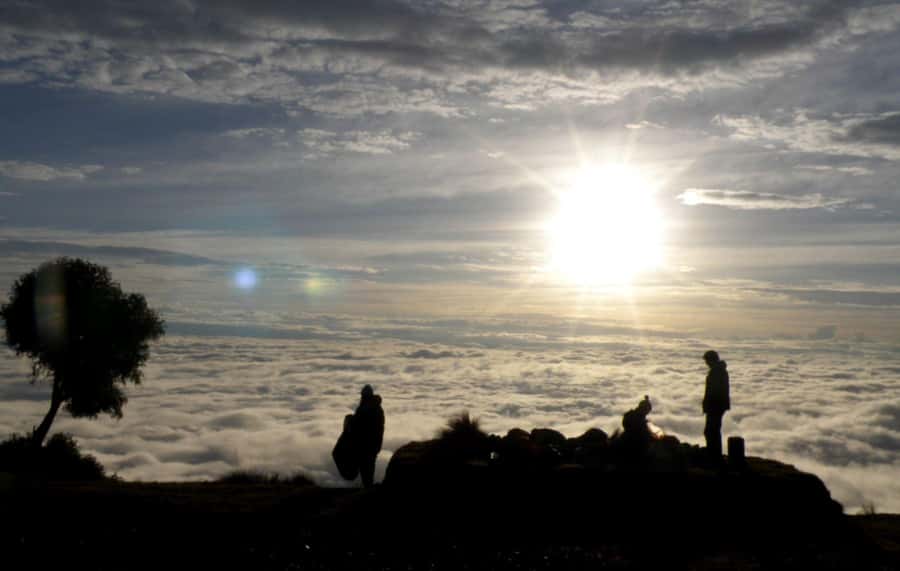 From Cusco: Manu Tree House 4 days/3 nights - Discovering the Magic of Manu: An In-Depth Look