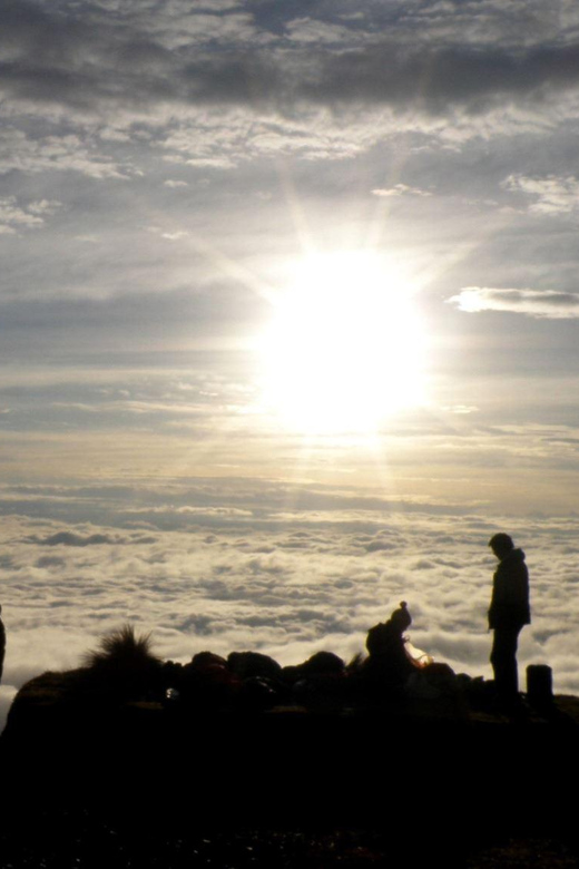 From Cusco: Manu Tree House 4 days/3 nights - FAQ