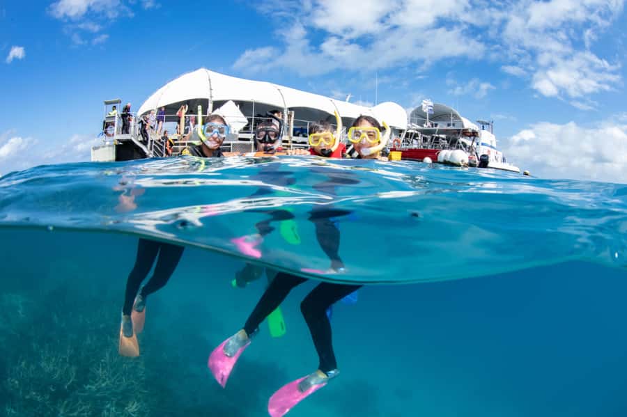Cairns: Green Island + Moore Reef Activity Platform Combo - Authentic Traveler Insights