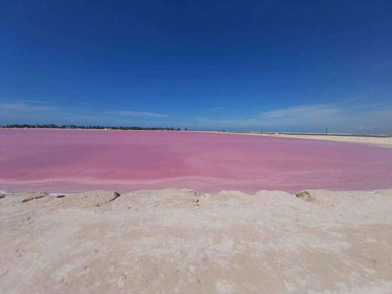 Rio Lagartos and Las Coloradas: EcoSafari Flamingo Luxury - The Itinerary in Detail