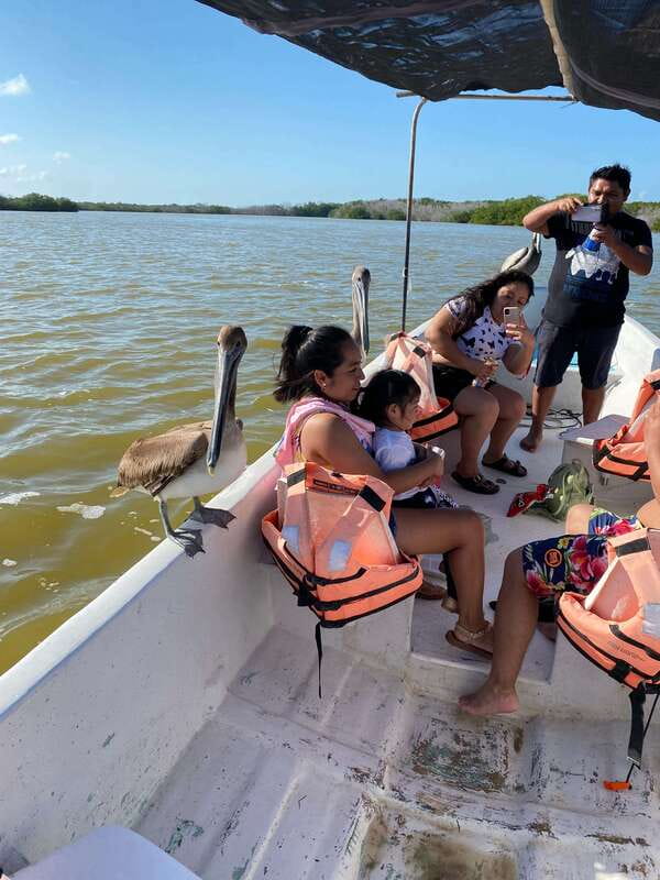 Rio Lagartos and Las Coloradas: EcoSafari Flamingo Luxury - How to Book and What to Prepare