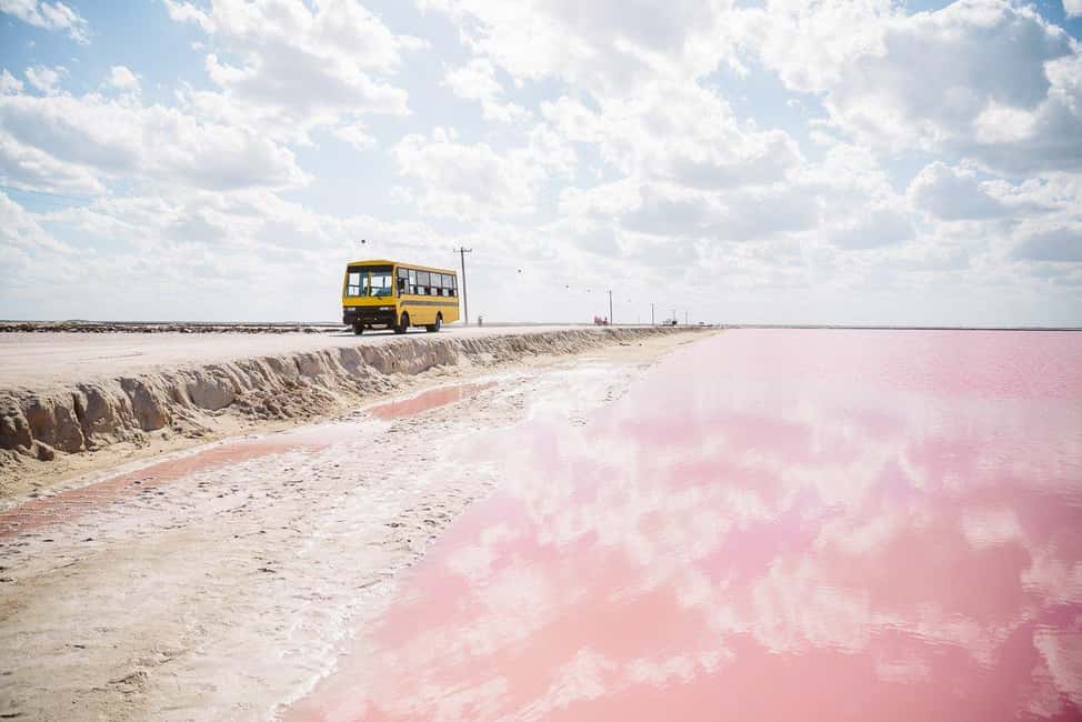 Rio Lagartos and Las Coloradas: EcoSafari Flamingo Luxury - Who Should Consider This Tour?
