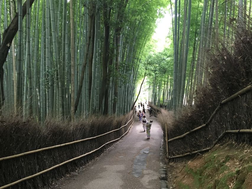 Kyoto Arashiyama Bamboo Forest Customized Private Tour - The Sum Up