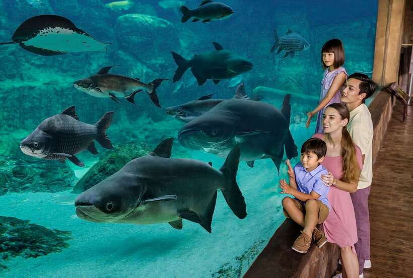 Singapore: River Wonders Entry Ticket - Good To Know