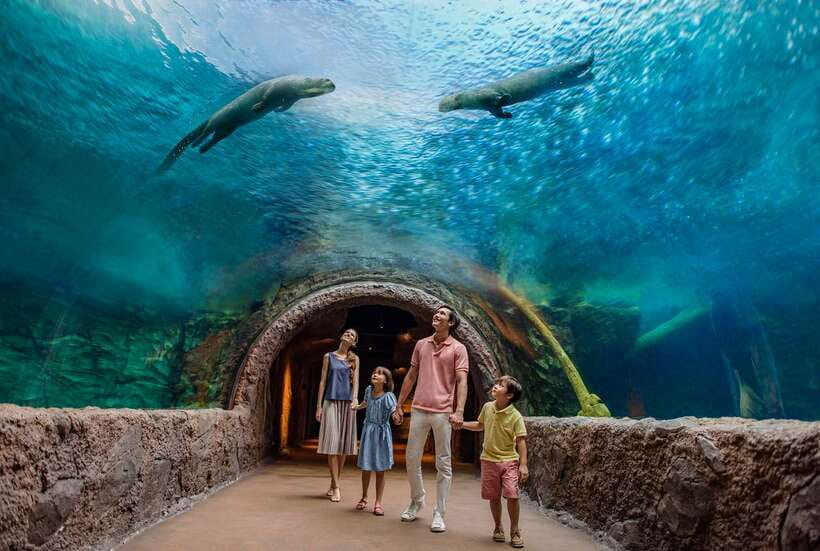 Singapore: River Wonders Entry Ticket - Who Would Love This Experience?