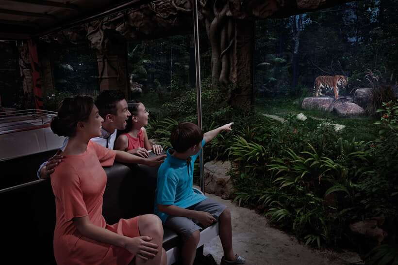 Singapore: Night Safari and Tram Ride Ticket - The Value of the Experience