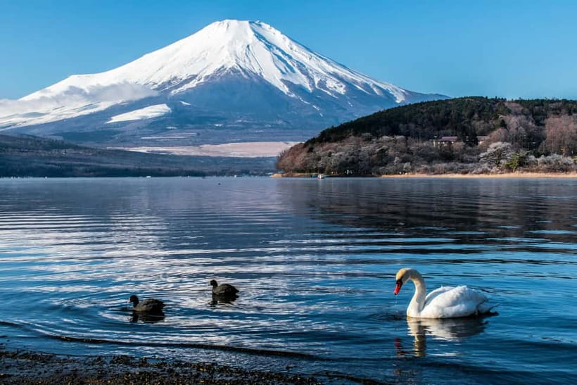 Tokyo : Private Luxury Tour To Mt Fuji With English Speaker - Lake Kawaguchiko and Boating Experience