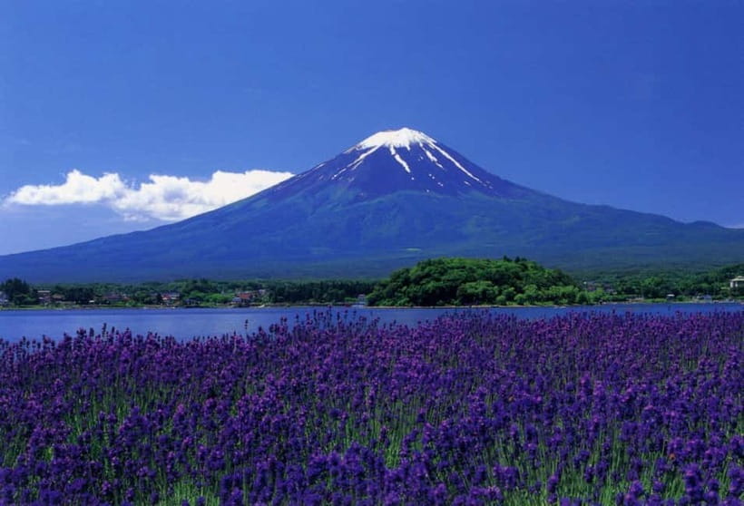 Tokyo : Private Luxury Tour To Mt Fuji With English Speaker - Good To Know