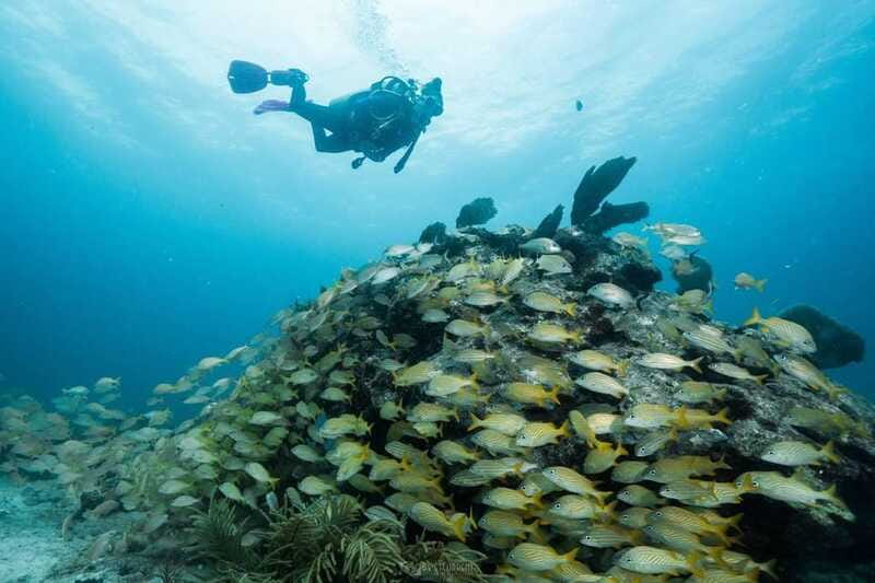 Puerto Morelos: Casa Cenote Diving - Itinerary Details