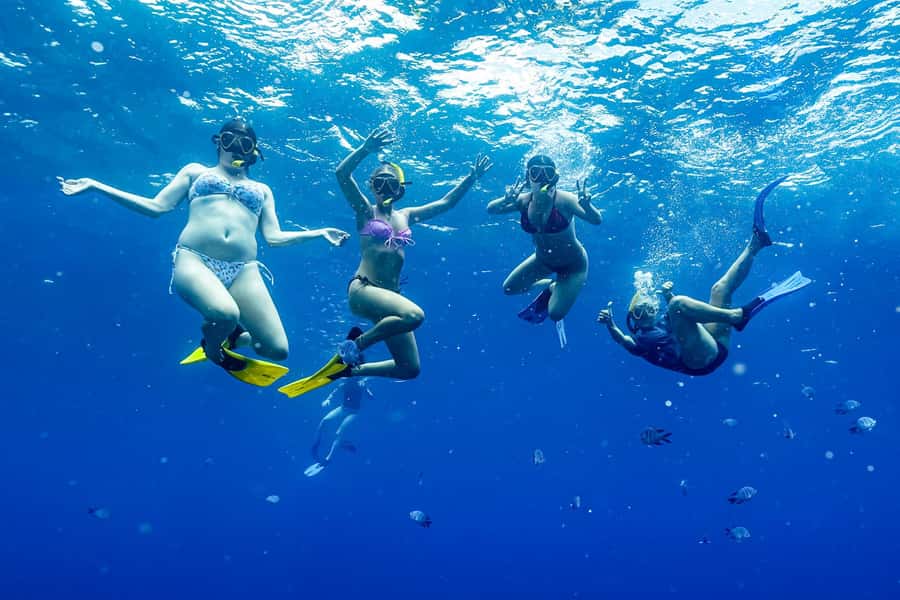 Brunswick Heads: Snorkelling in Byron Bay - What We Love About This Tour