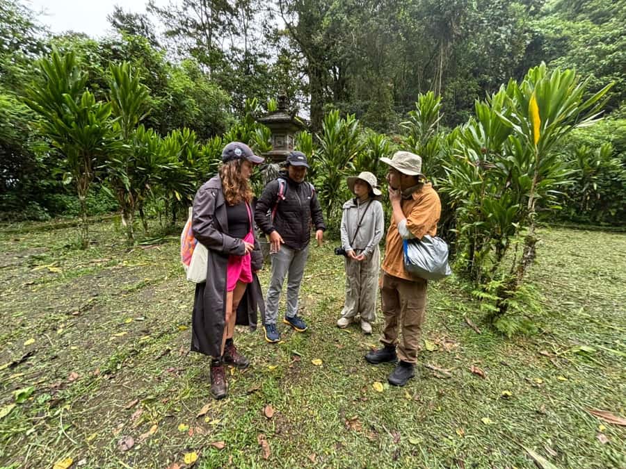 Celukan Bawang Cruise Port: Bali Highlights Private Day Tour - The Sum Up