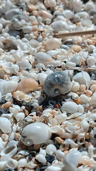 Shell beach Turtle head and Kok-Moinok canyons - Authentic Traveler Insights