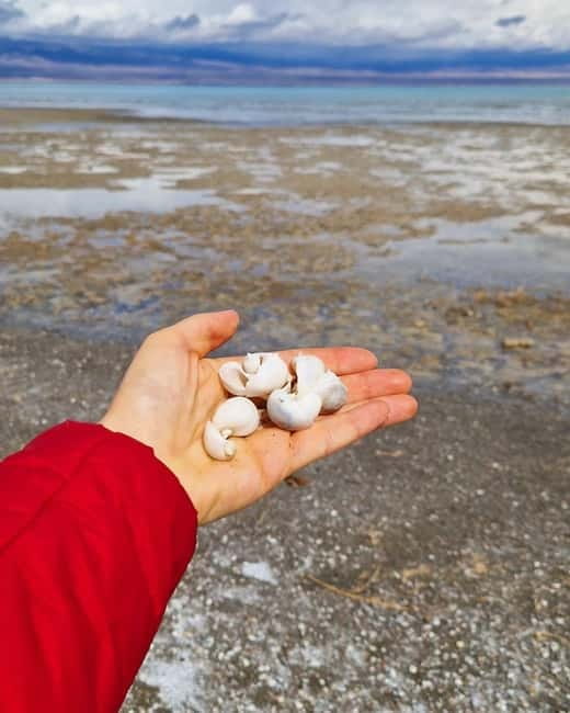 Shell beach Turtle head and Kok-Moinok canyons - Good To Know