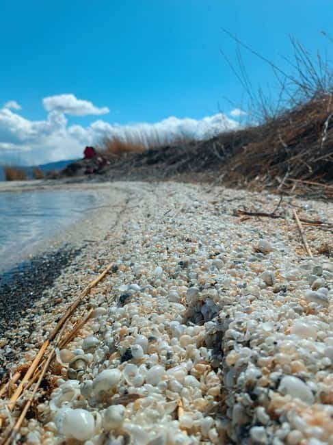 Shell beach Turtle head and Kok-Moinok canyons - Practicalities and What to Expect