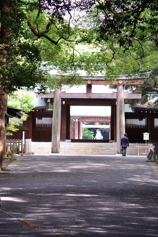 Tokyo: with Private Car Personalized Private 6-Hour Tour - FAQ