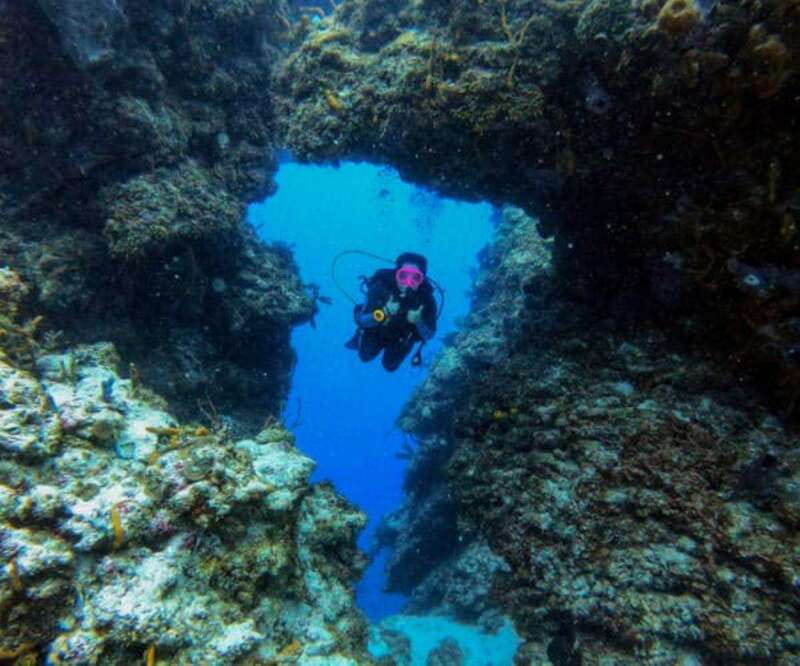 Cozumel: Two reef dives in Marine Park, certified divers - Key Points