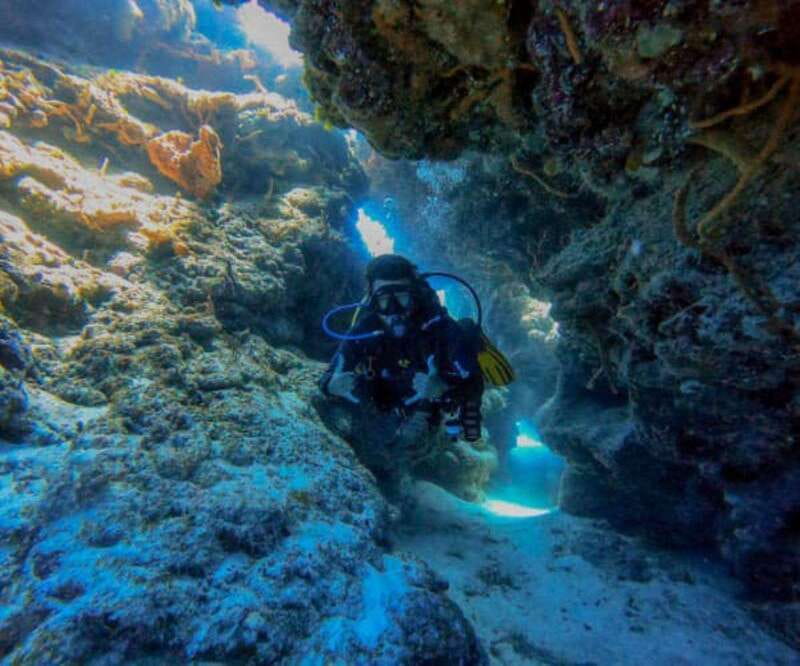 Cozumel: Two reef dives in Marine Park, certified divers - Detailed Breakdown of the Itinerary and Experience