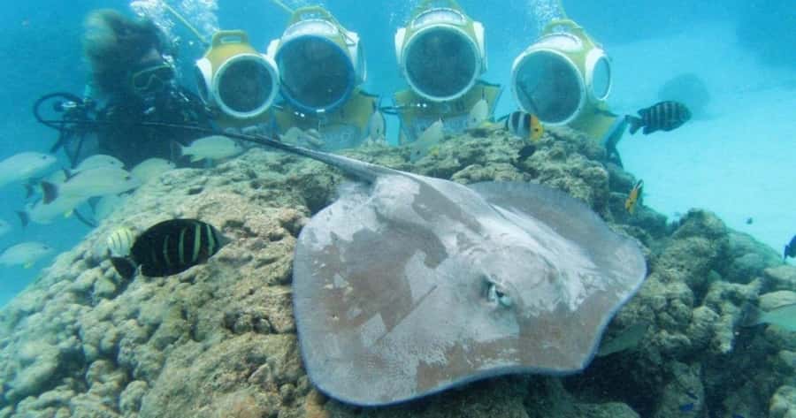 Moorea: Aquablue Helmet Underwater Walking Experience - The Experience Itself