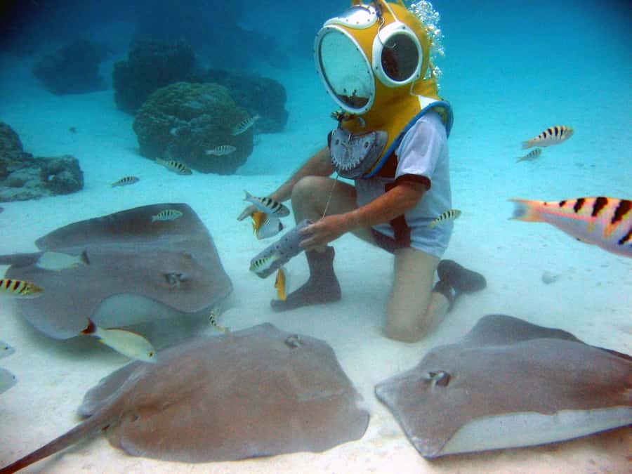 Moorea: Aquablue Helmet Underwater Walking Experience - Practical Details and Logistics