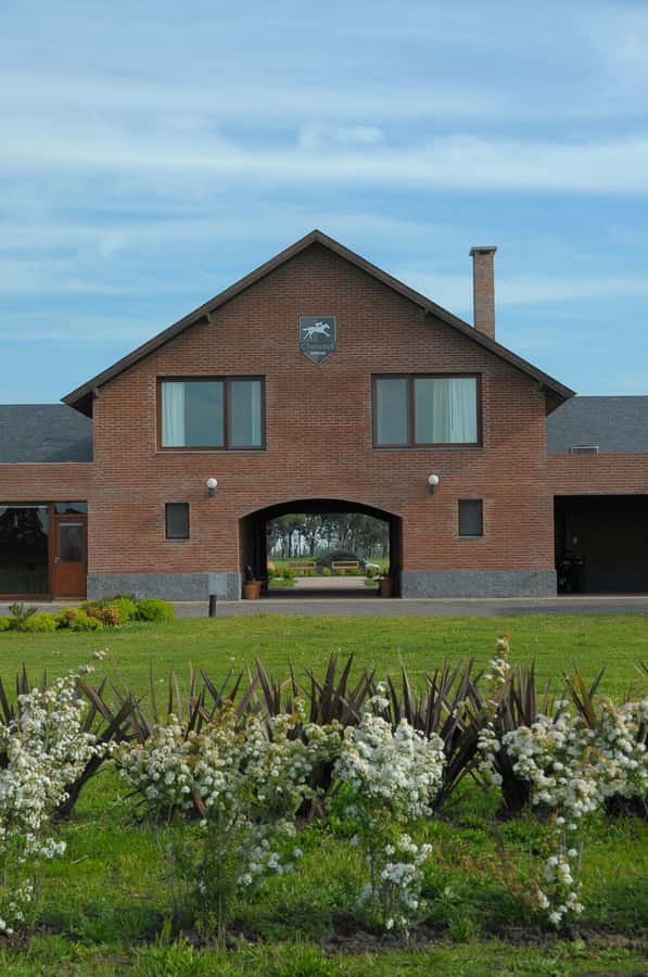 Horses, Asado & Nature. A day at a thoroughbred farm - Key Points