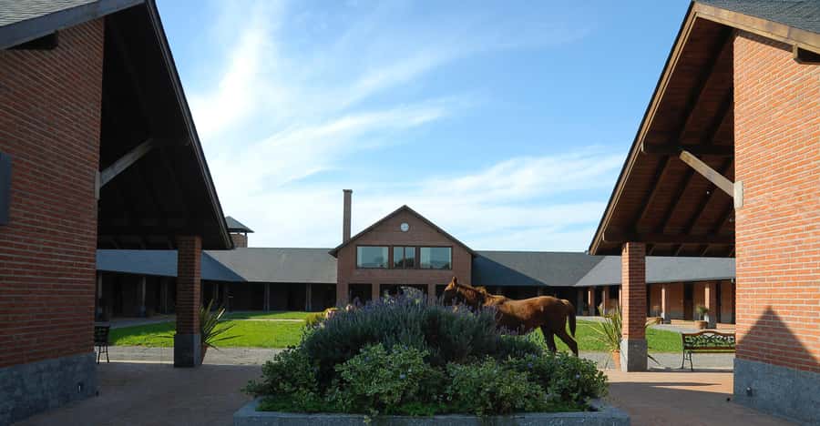 Horses, Asado & Nature. A day at a thoroughbred farm - A Closer Look at the Experience