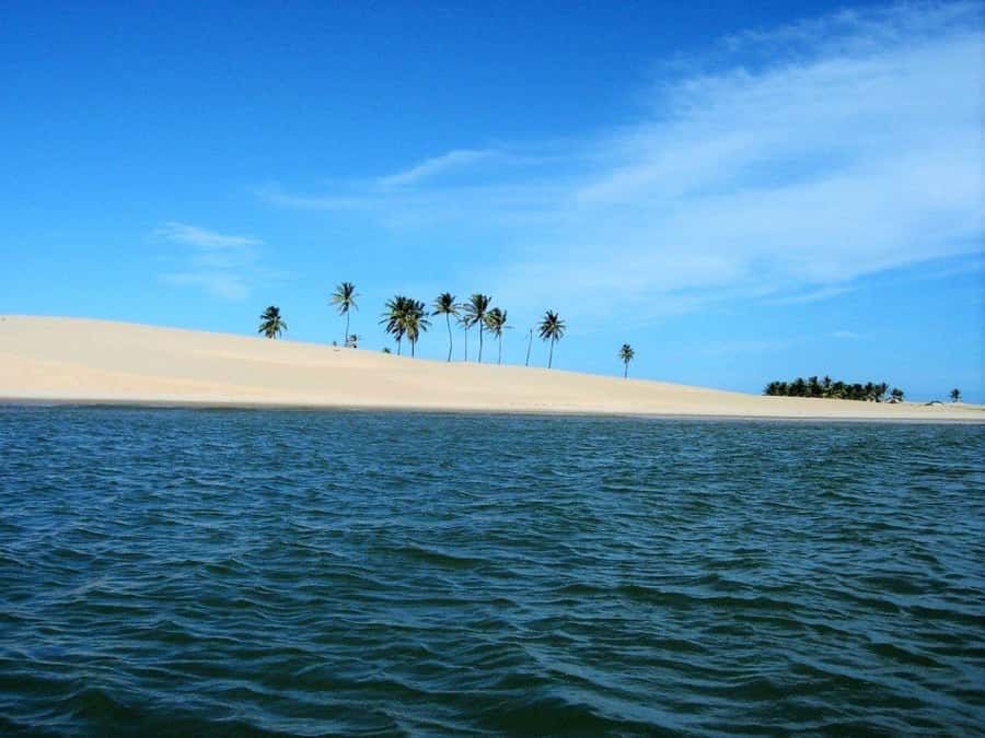 Maceio: Tour to São Francisco River - Why This Tour Offers Great Value
