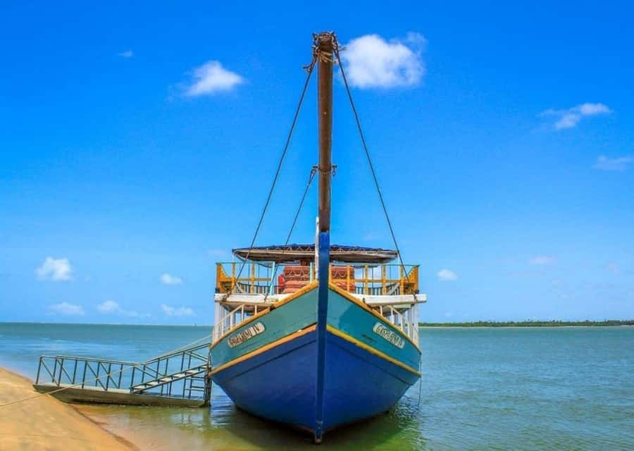 Maceio: Tour to São Francisco River - An In-Depth Look at the São Francisco River Tour