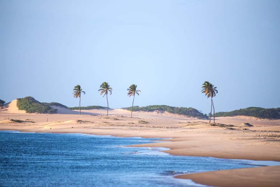 Maceio: Tour to São Francisco River - Maceió: Tour to São Francisco River