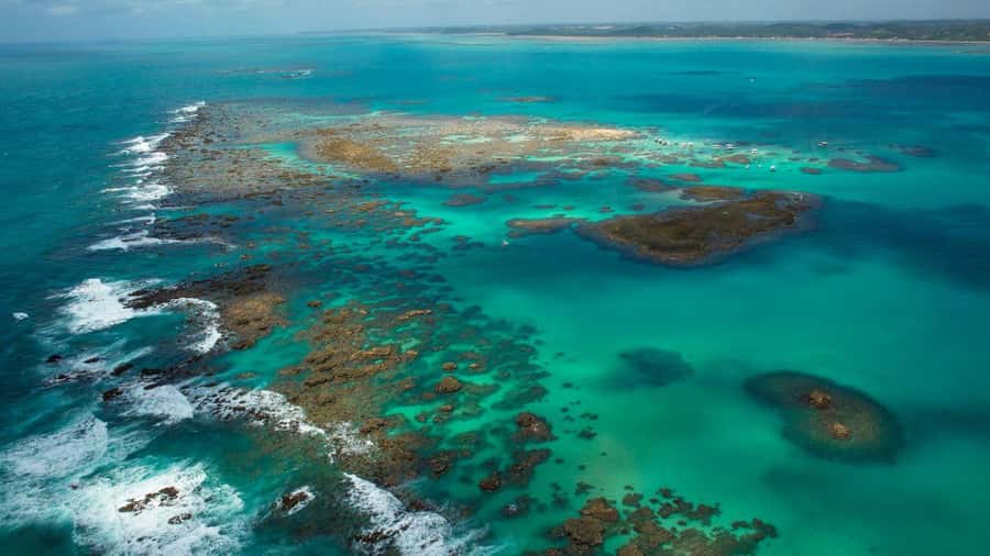 Maceio: Tour to Maragogi Beach - Exploring the Itinerary