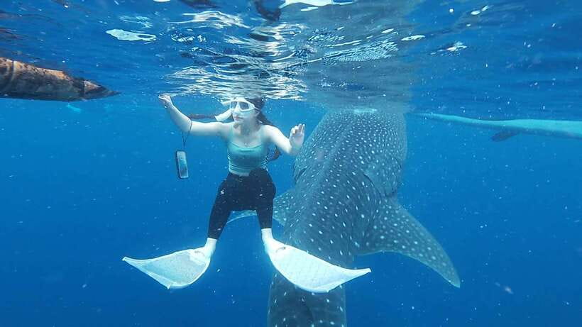 Cebu: Oslob Whaleshark & Sardines Run Snorkeling Day Tour - Practical Tips for Your Tour Day
